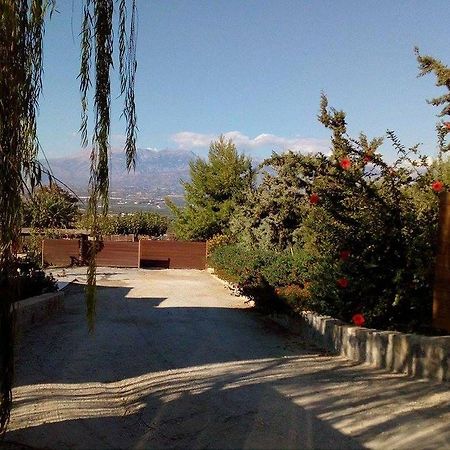 House Veggera - Private Swimming Pool Guest House Pombia Bagian luar foto